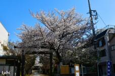 180117_1.jpg  : 63 KB