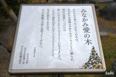 180141_1.jpg  : 51 KB