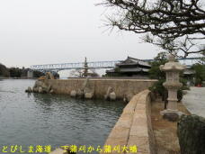 180156_1.jpg  : 63 KB