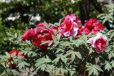 180168_3.jpg  : 137 KB