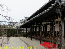 180171_2.jpg  : 57 KB