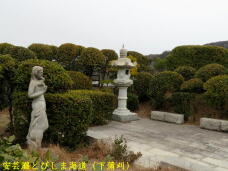 180171_3.jpg  : 61 KB