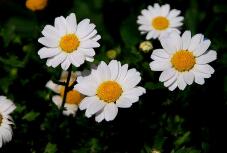 180174_2.jpg  : 64 KB
