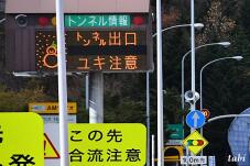 180184_5.jpg  : 74 KB