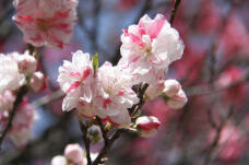 180190_1.jpg  : 62 KB