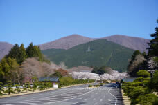 180204_2.jpg  : 193 KB