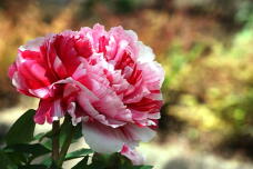 180212_2.jpg  : 121 KB