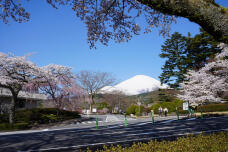 180220_2.jpg  : 317 KB