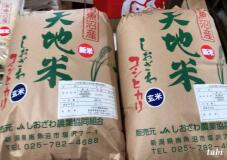 180236_7.jpg  : 57 KB
