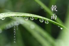 180254_1.jpg  : 41 KB