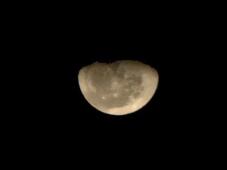 180267_1.jpg  : 5 KB