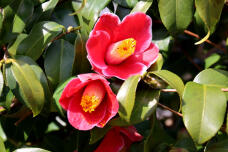 180314_1.jpg  : 134 KB