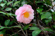180314_2.jpg  : 129 KB