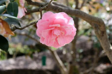 180348_1.jpg  : 89 KB