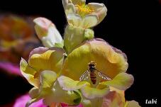 180386_10.jpg  : 47 KB