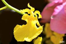 180386_6.jpg  : 41 KB