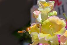 180386_9.jpg  : 45 KB