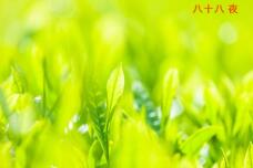 180392_2.jpg  : 33 KB