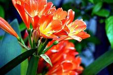 180392_3.jpg  : 42 KB