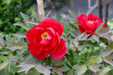 180396_1.jpg  : 142 KB