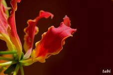 180402_6.jpg  : 28 KB