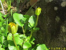180404_2.jpg  : 63 KB