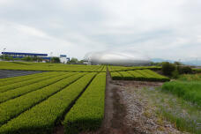 180408_1.jpg  : 229 KB