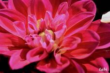 180415_10.jpg  : 52 KB