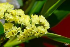 180415_4.jpg  : 47 KB