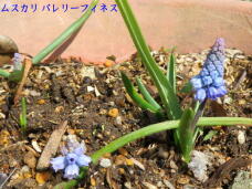 180420_1.jpg  : 84 KB