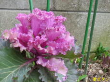 180420_3.jpg  : 58 KB