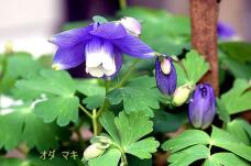 180424_1.jpg  : 65 KB