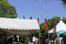 180464_1.jpg  : 106 KB