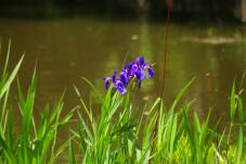 180494_2.jpg  : 87 KB