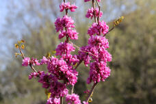 180512_3.jpg  : 125 KB