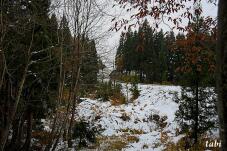180514_5.jpg  : 137 KB