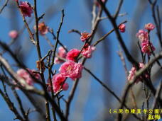 180518_2.jpg  : 49 KB