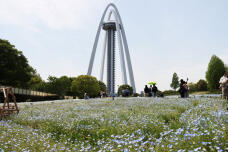 180524_2.jpg  : 166 KB
