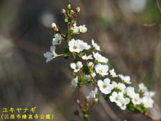 180531_2.jpg  : 32 KB