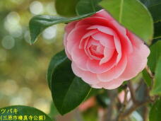180547_1.jpg  : 36 KB
