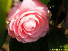 180547_3.jpg  : 33 KB