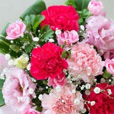 180551_2.jpg  : 133 KB