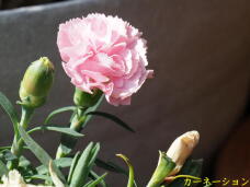 180645_2.jpg  : 35 KB