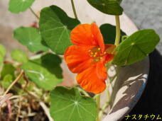 180654_2.jpg  : 41 KB