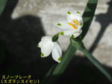 180703_1.jpg  : 26 KB