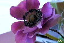 180731_7.jpg  : 44 KB