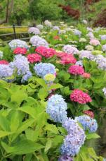 180740_1.jpg  : 247 KB