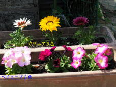 180745_1.jpg  : 74 KB
