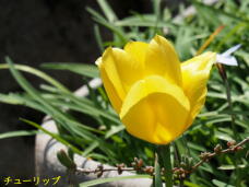 180745_3.jpg  : 42 KB