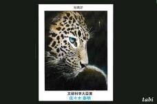 180800_9.jpg  : 66 KB
